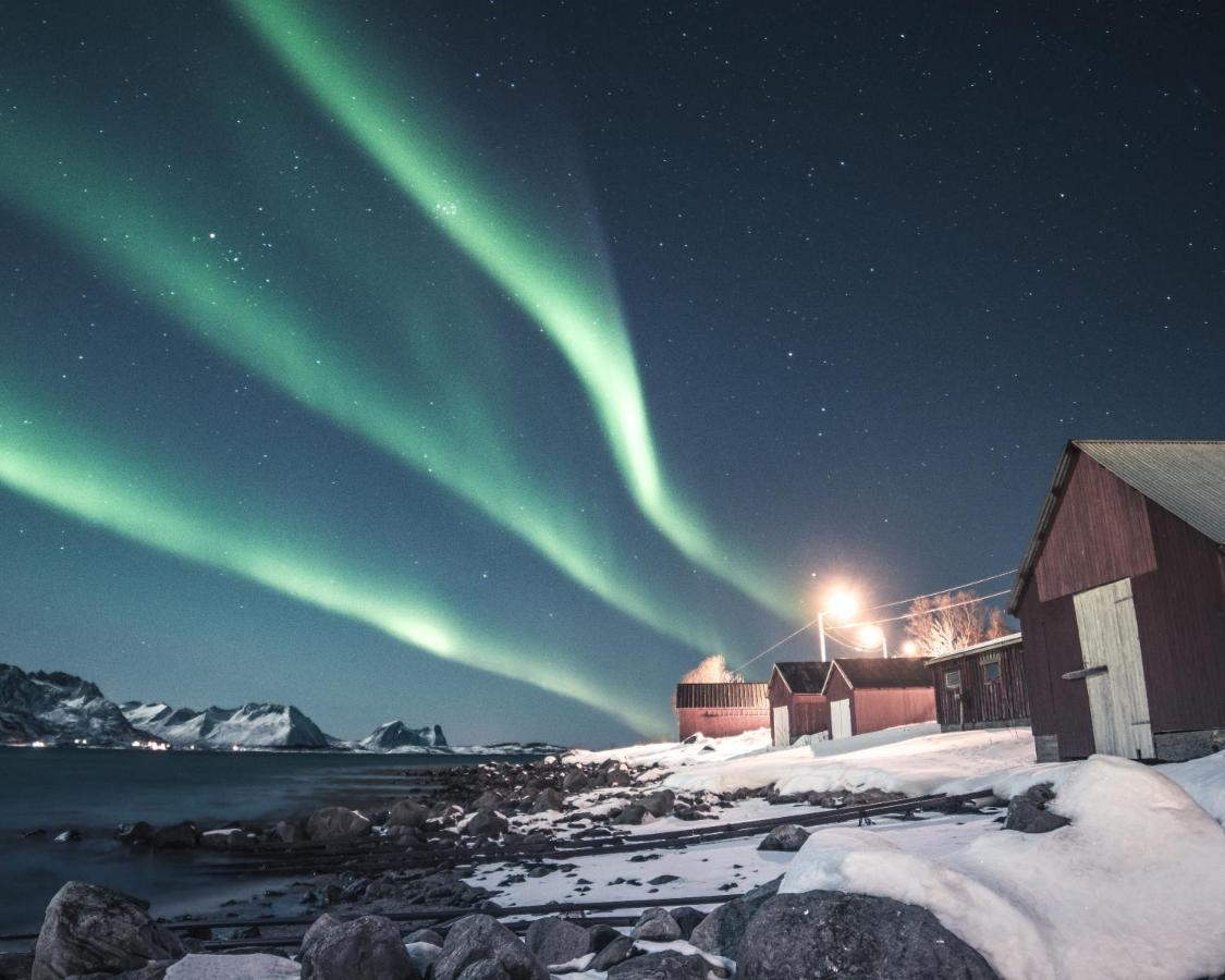 Skagi Bed & Lodge Skaland Eksteriør bilde