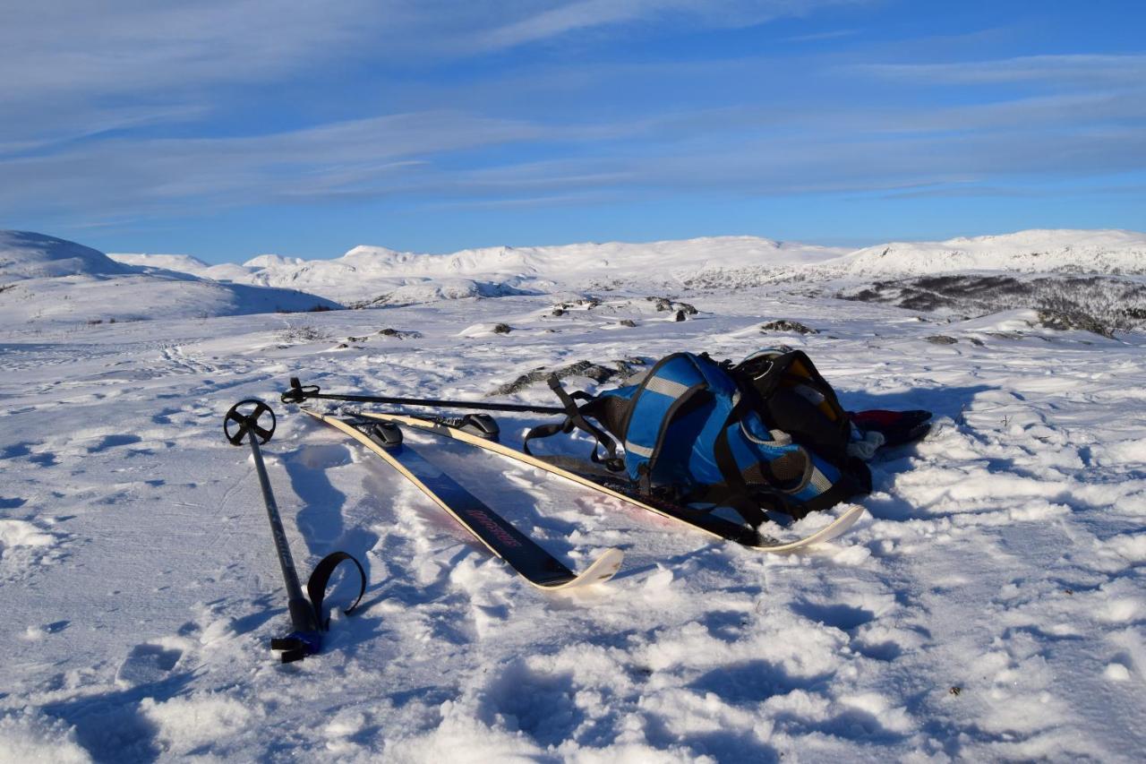 Skagi Bed & Lodge Skaland Eksteriør bilde